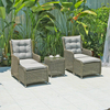 TG-F310 Functional Sun Lounger Set