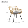 Beautiful Soft Cushion Wide Easy Coffee High Tea Time Rattan Chair TG-NI17